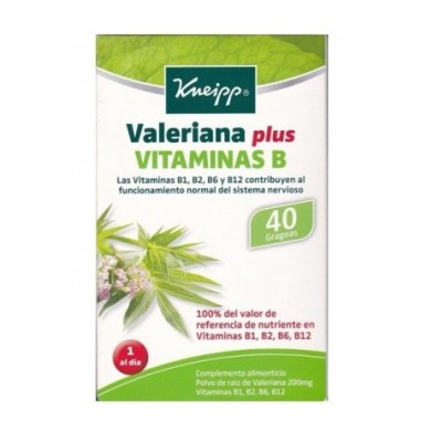 VALERIANA PLUS VITAMINA B  40 GRAGEAS
